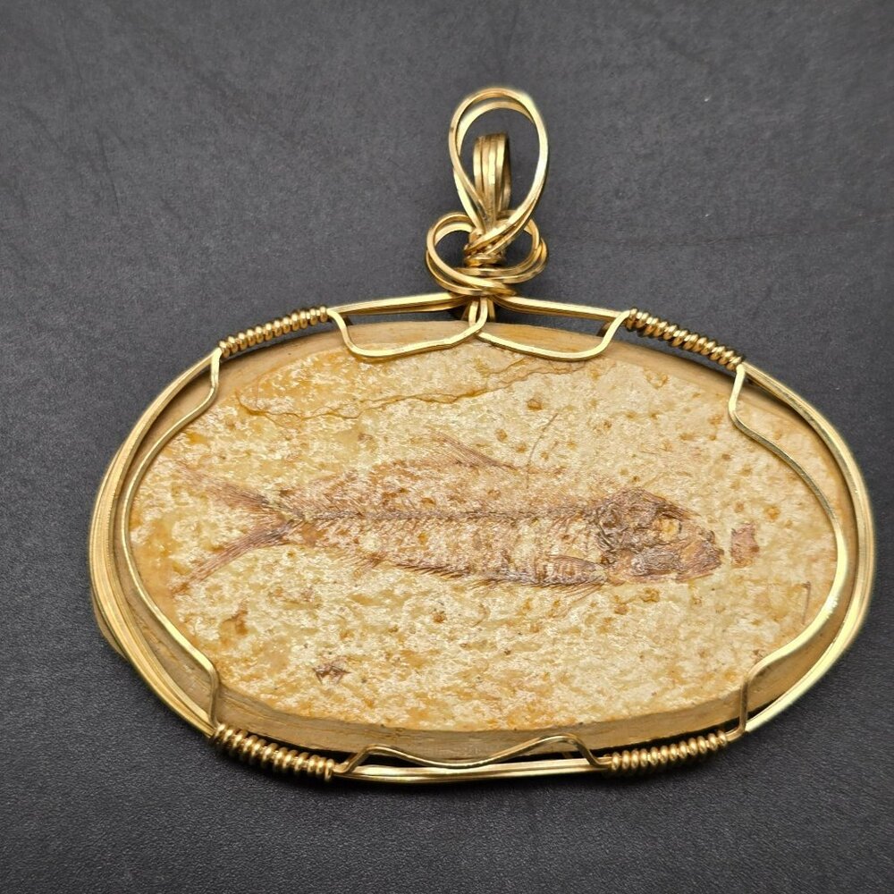 Fossil Fish Pendant Wire Wrapped In Gold Tone Frame HS301